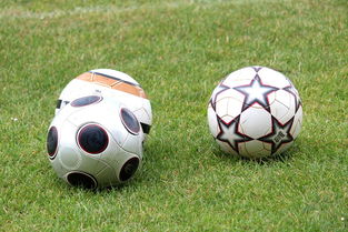 华体会app-未来足球市场：数字资产与足球产业的融合，足球概念数字货币